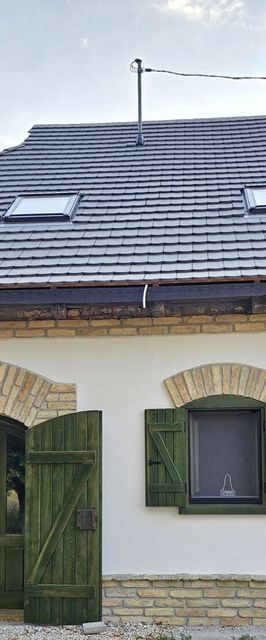 Bálint Borlak Hajós