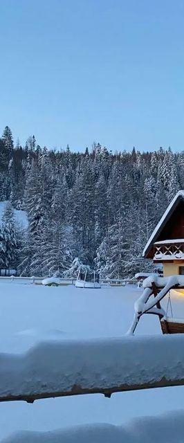 Domek w Danielce Ujsoły, Żywiec 