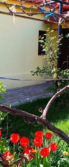 Casa Bunicilor Cisnădie