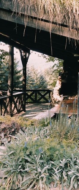 Ostoja nad potokiem Dwernik