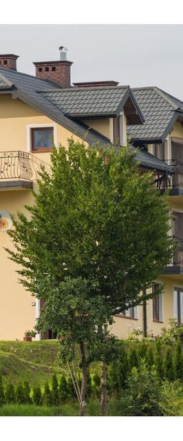 Willa Słoneczny Promyk Polańczyk 