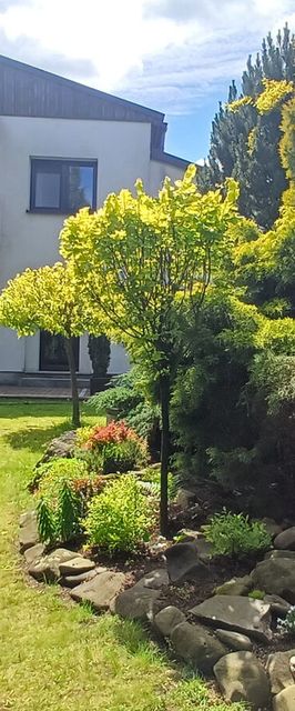 Noclegi Jaroszowice Zator