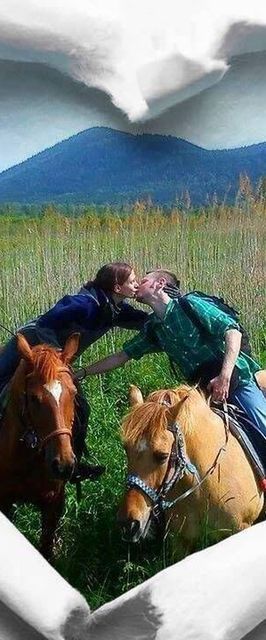 Domek w górach Międzylesie