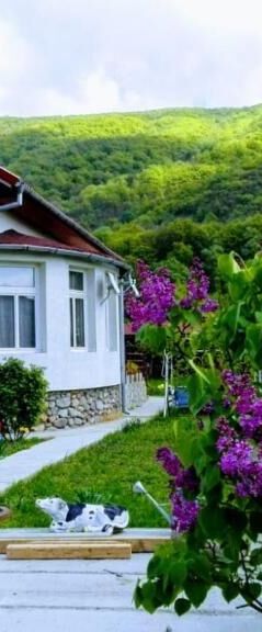 Vila di Pau Băile Herculane