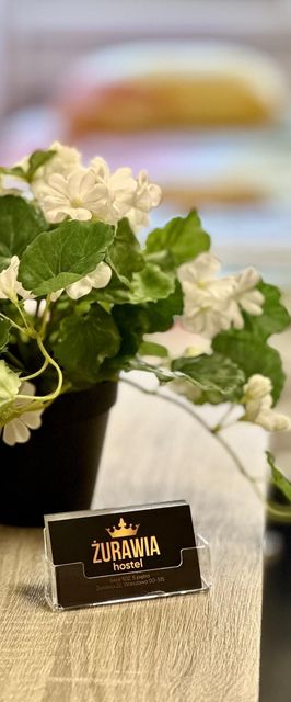 Hostel Żurawia Warszawa