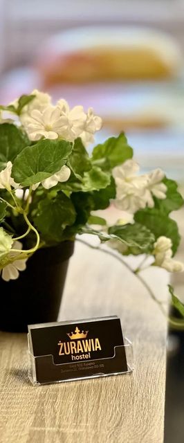 Hostel Żurawia Warszawa