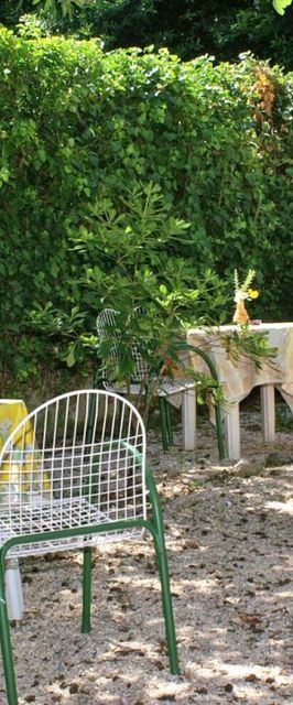 Apartment Brane Split