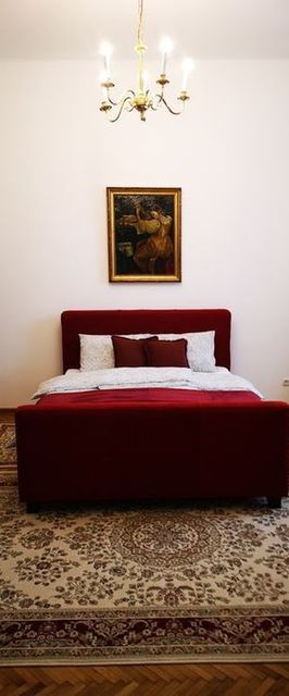  Weisz Castle style Apartment Carei