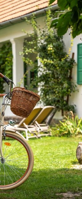 Carpe Diem Vendégház Cserépfalu