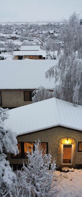 Forest Hide Tiny House Covasna 