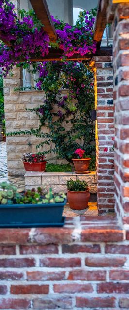 Apartment Grgurić Apartments Palit