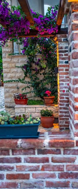 Apartment Grgurić Apartments Palit