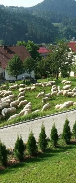 Pokoje u Celinki Szczawnica