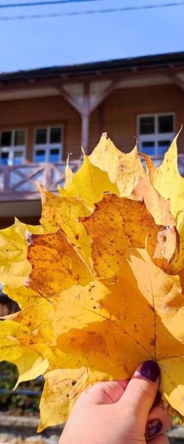 Nikifour, apartament nad deptakiem Krynica-Zdrój