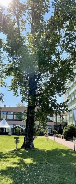 Hotel Magistern Konferencia és Wellness Siófok