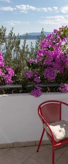 Apartment Blue Igrane