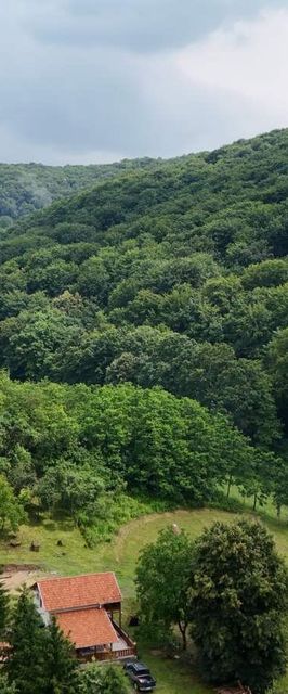 Tilia Pagony Vendégház Borsodnádasd