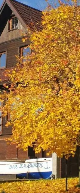 Dom na terenie Osady Turystycznej Czorsztyn