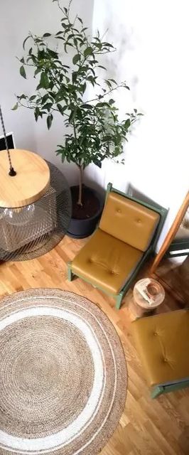 Codicei Studio Brașov