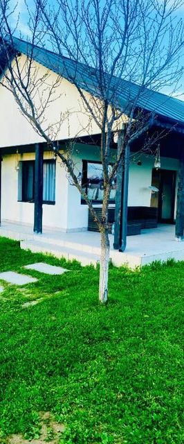 Tacchini's Home Plosca