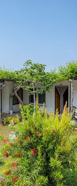 Apartman Crveni Vrh Umag