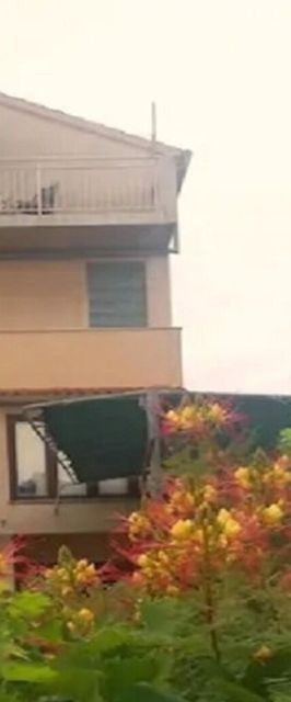 Apartments Ognjen Betina