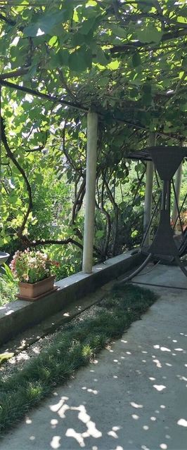 Apartment Gianfranko Opatija II