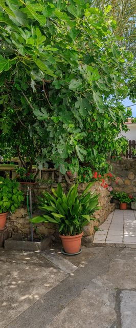 Apartments Jug Lopar