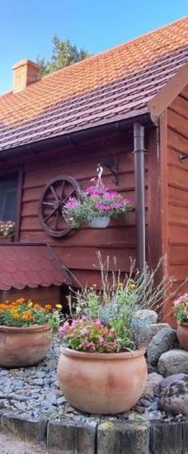 Apartament SECESJA Ostrów Wielkopolski