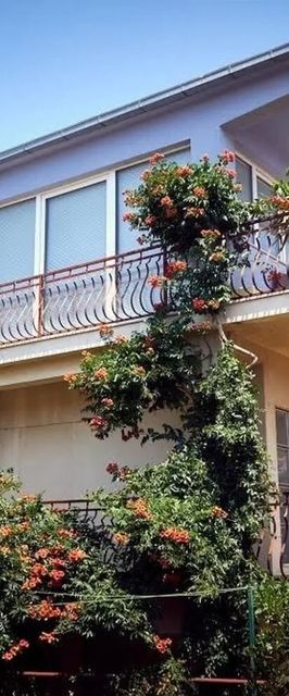 Apartments Ivan Vinisce