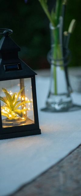 Apartment Mira Supetarska Draga