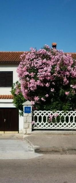 Apartments Tonia Mali Losinj