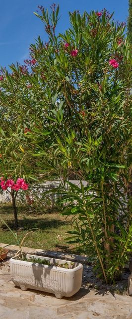 Apartment Horjan Vir