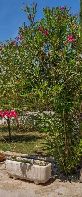 Apartment Horjan Vir