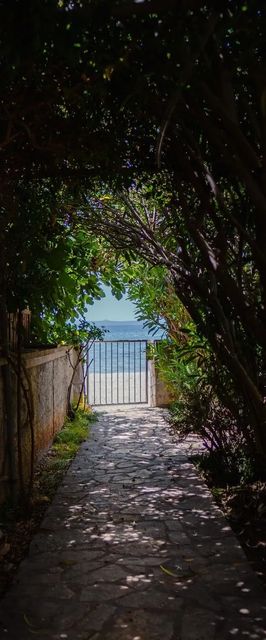 Apartments Bozena Vir