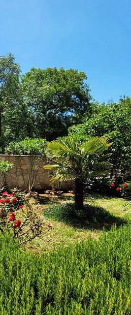 Apartments Dani Malinska