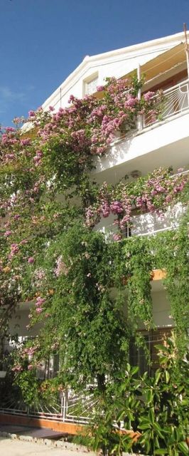 Apartment Graciela Gradac