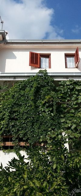 Apartments Neva Sumpetar