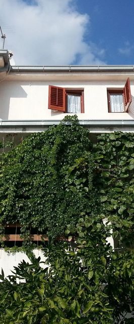 Apartments Neva Sumpetar