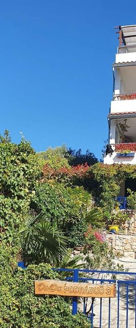 Apartmanok A Tenger Mellett Murter - 22397