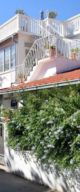 Apartments Lucky Orebic