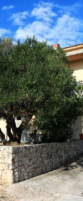 Apartment Martina Betina