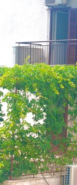 Apartment AnyTime Makarska