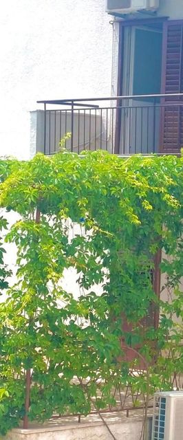 Apartment AnyTime Makarska