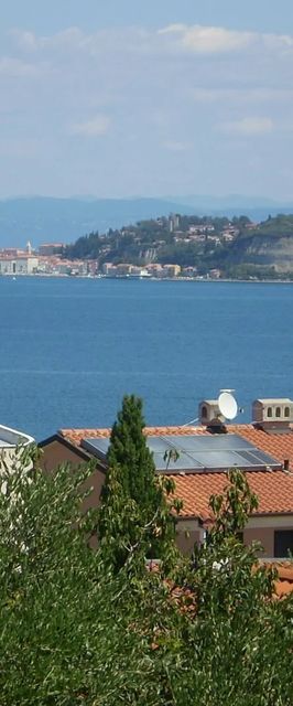 Apartment LILLY Savudrija