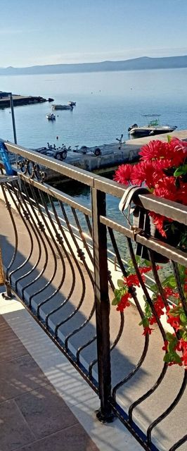 Apartment Zdravko Bol