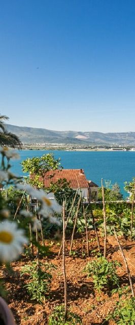 Apartment Marija Trogir