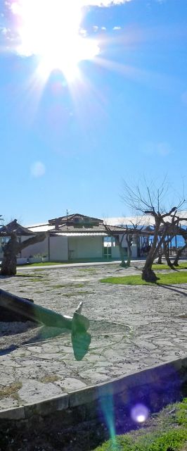 Apartment Zdravko Omis