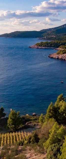 Apartment Kati Zarace