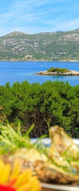 House Marija Korcula